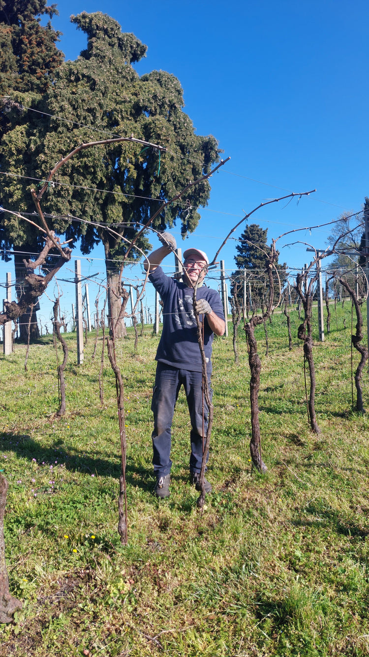 Cascina Mondator