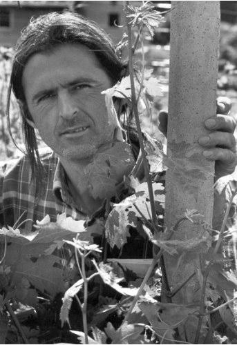 Eugenio Rosi