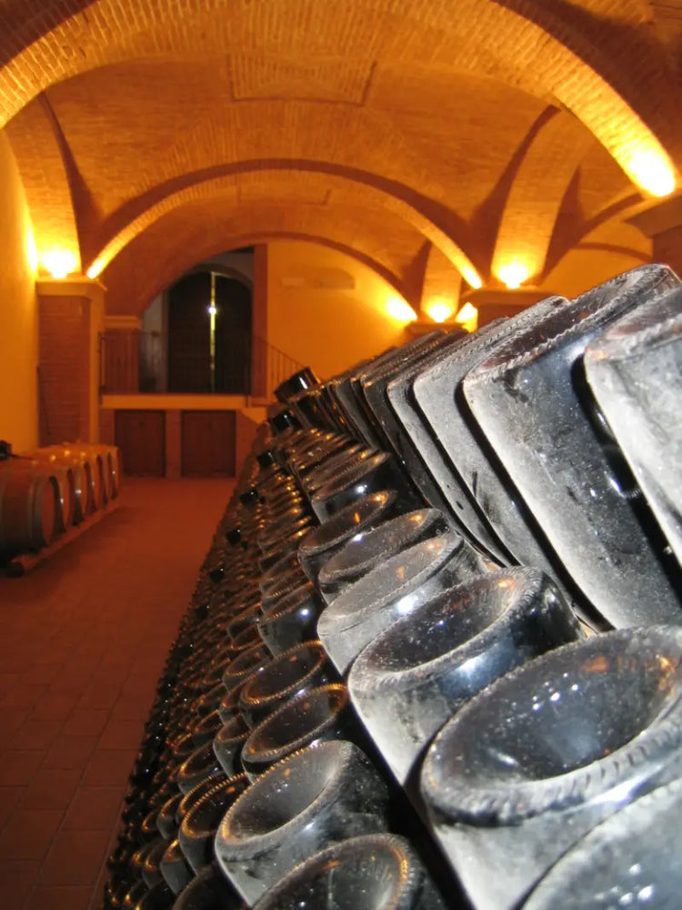 Bollicine