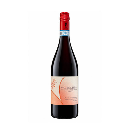 Valpolicella Classico - Antolini