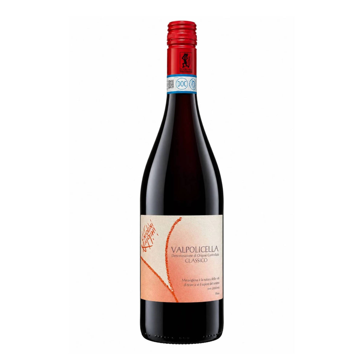 Valpolicella Classico - Antolini