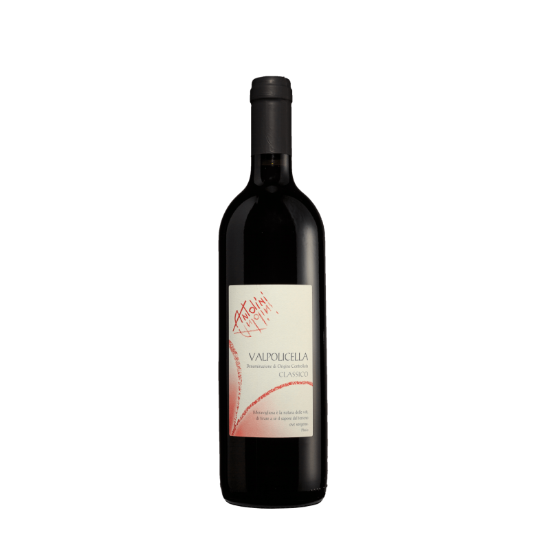 Valpolicella Classico - Antolini