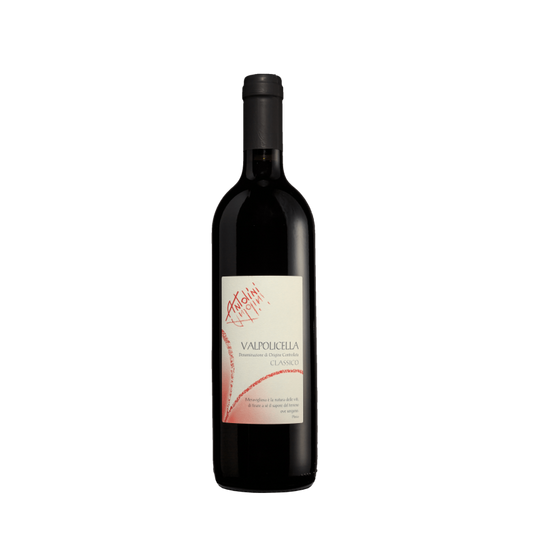 Valpolicella Classico - Antolini